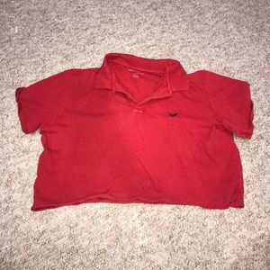 Cropped American Eagle Polo